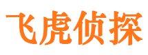 高安市婚外情取证